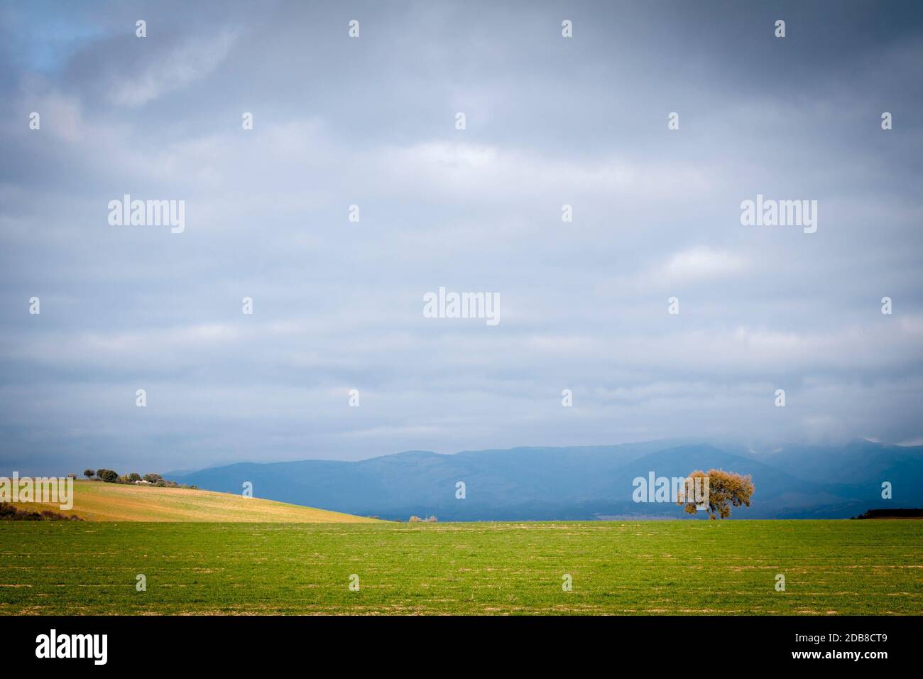 Cultivo de paisaje hi-res stock photography and images - Alamy