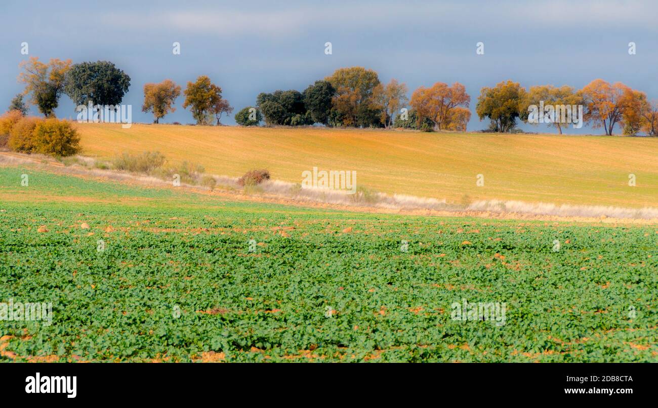 Cultivo de paisaje hi-res stock photography and images - Alamy