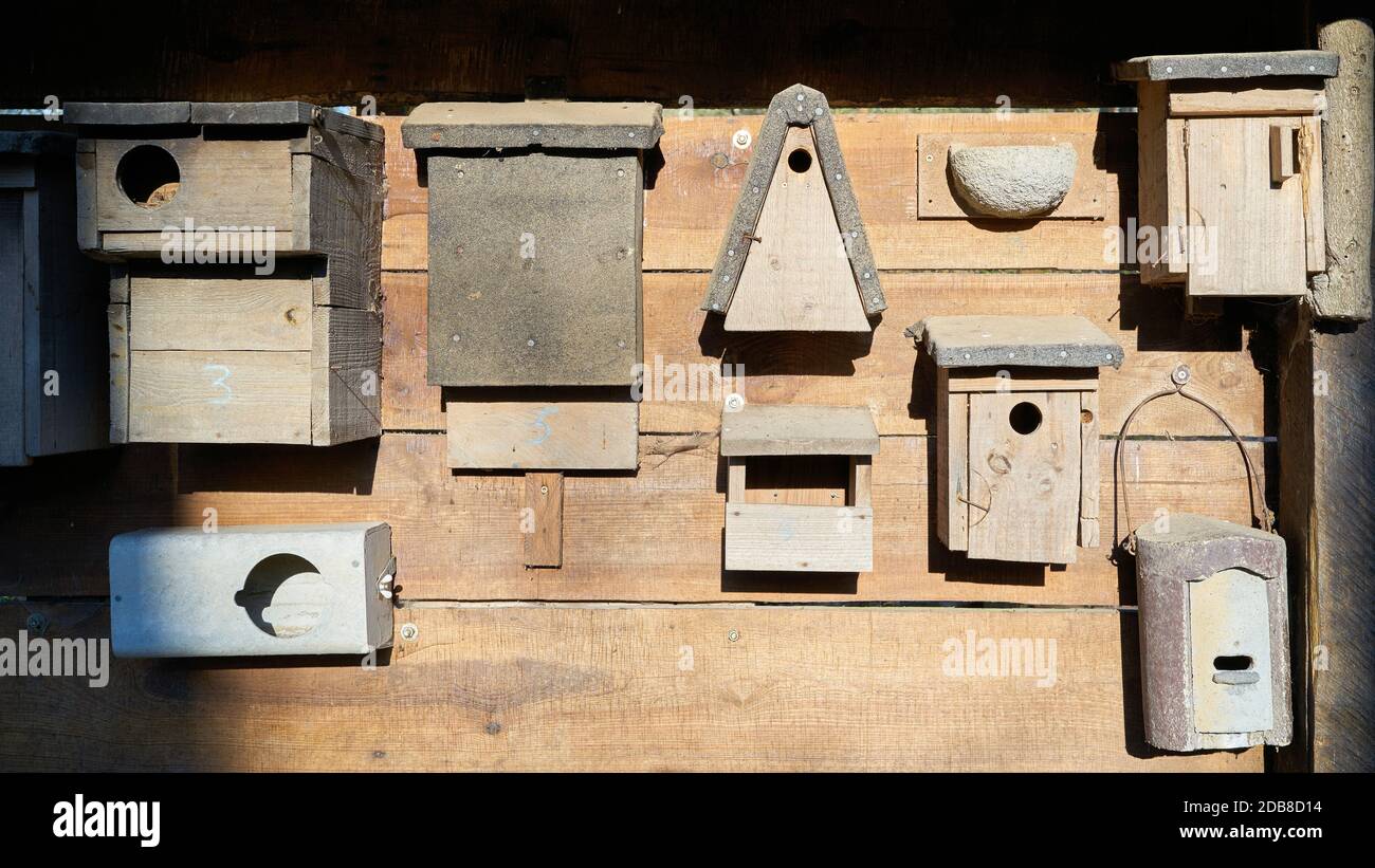 Nesting boxes for different bird species in a park Stock Photo