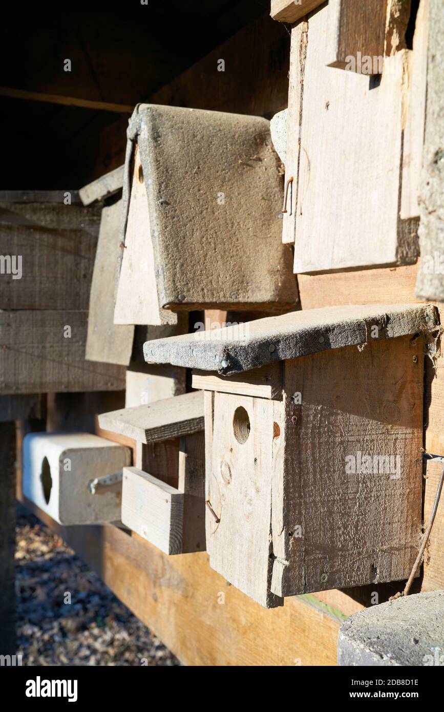 Nesting boxes for different bird species in a park Stock Photo