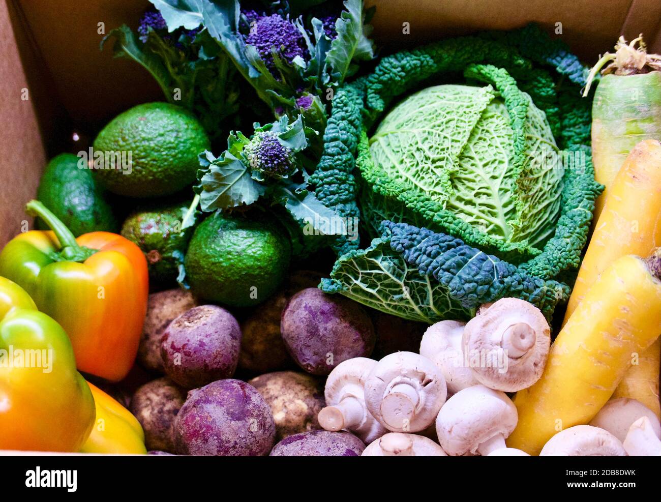 Fresh vegetable delivery box (Oddbox) with seasonal autumn produce. Oddbox rescues veggies that will be wasted by supermarkets to prevent food waste Stock Photo