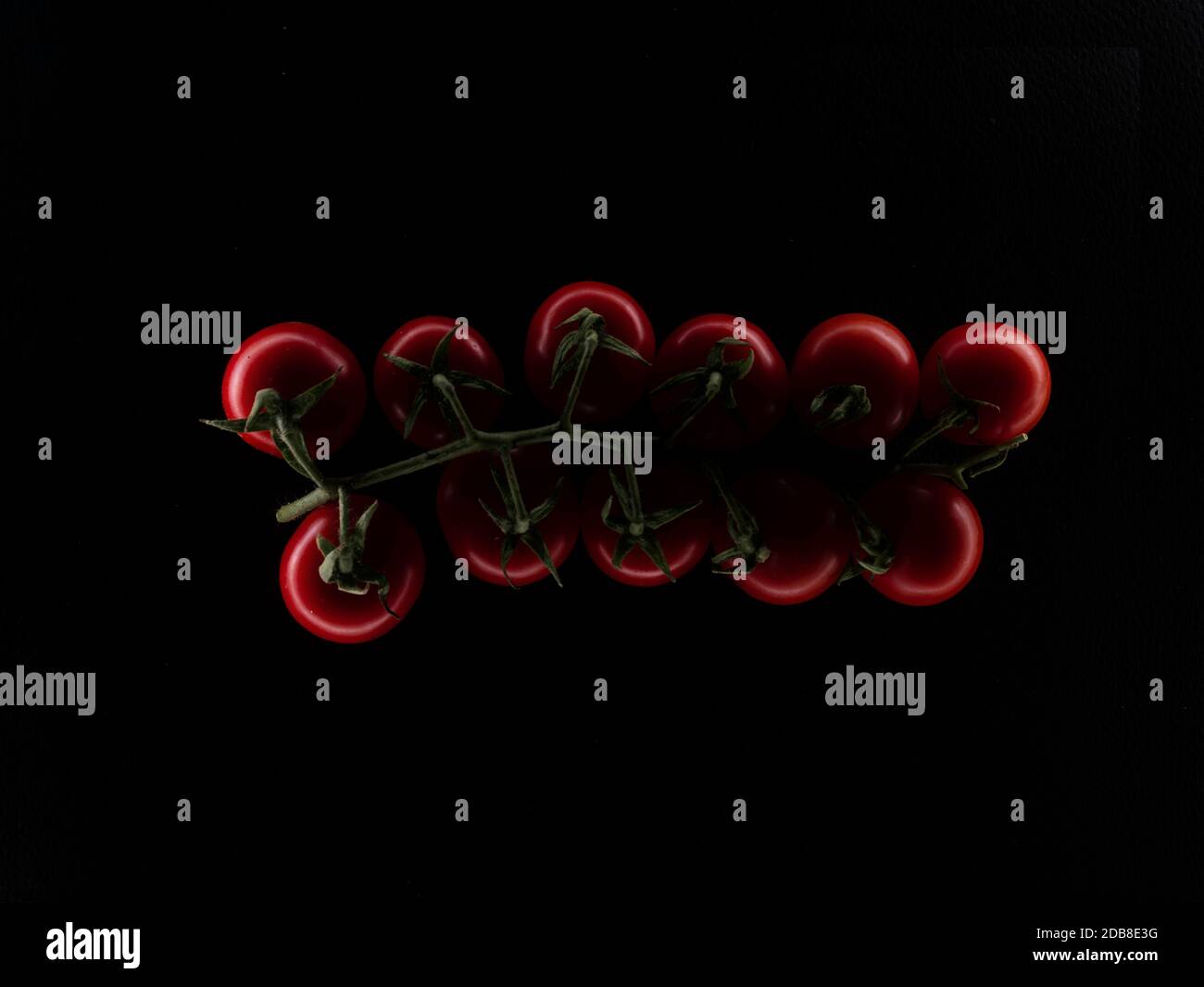 Cherry vine tomatoes against a black background Stock Photo