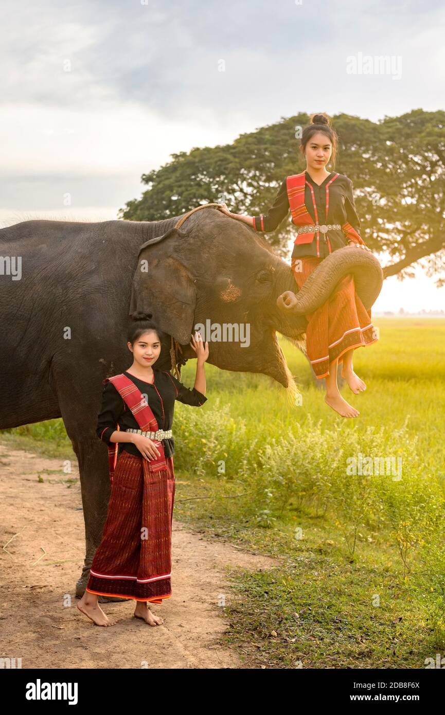 Two women with an elephant, Thailand Stock Photo