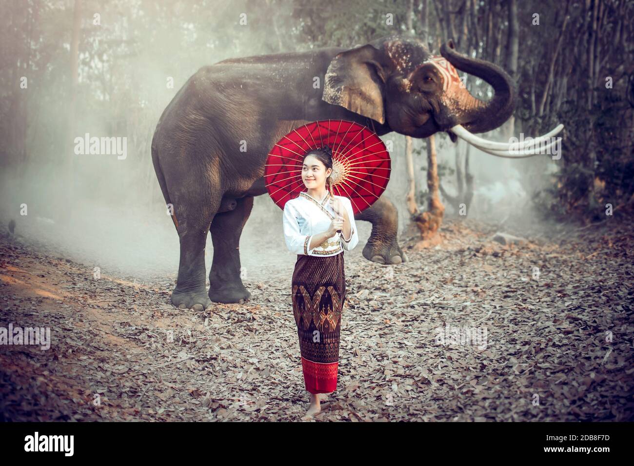 Woman with a parasol standing in front of an elephant, Thailand Stock Photo