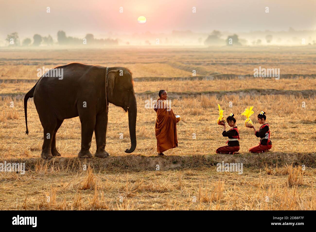 Two women kneeling before a monk and elephant offering alms, Thailand Stock Photo