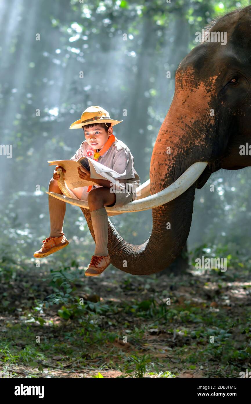 Boy scout sitting on an elephant trunk reading a magazine, Surin, Thailand Stock Photo