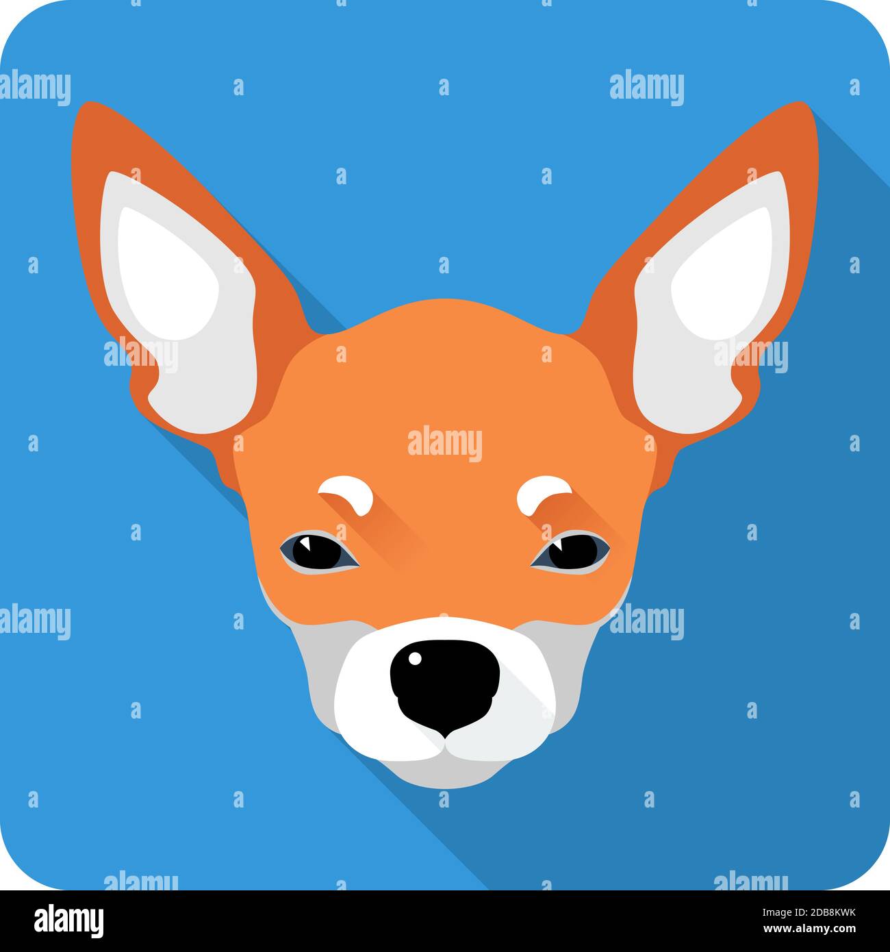 Vector cute red dog Chihuahua icon flat design Stock Photo