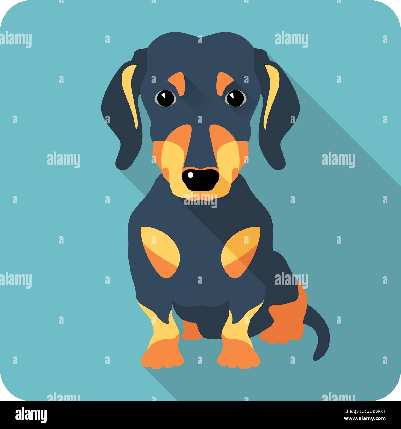 dog dachshund sitting icon flat design Stock Photo