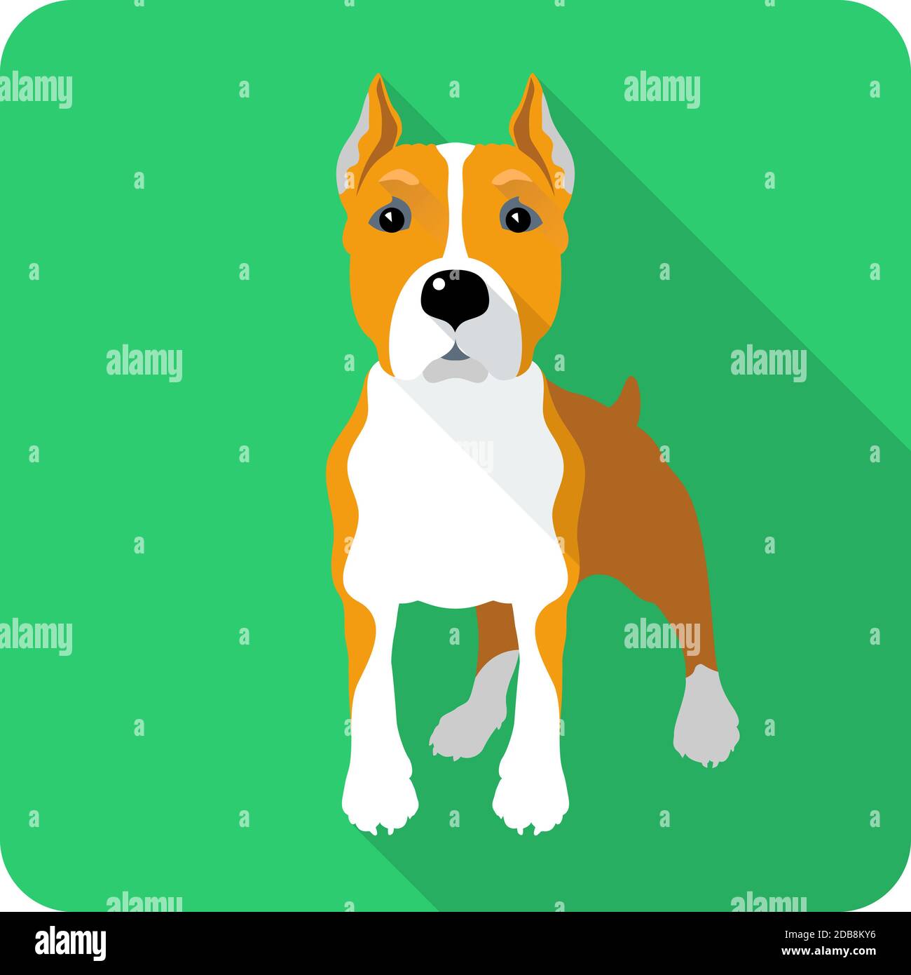 dog American Staffordshire Terrier standing icon flat design Stock Photo