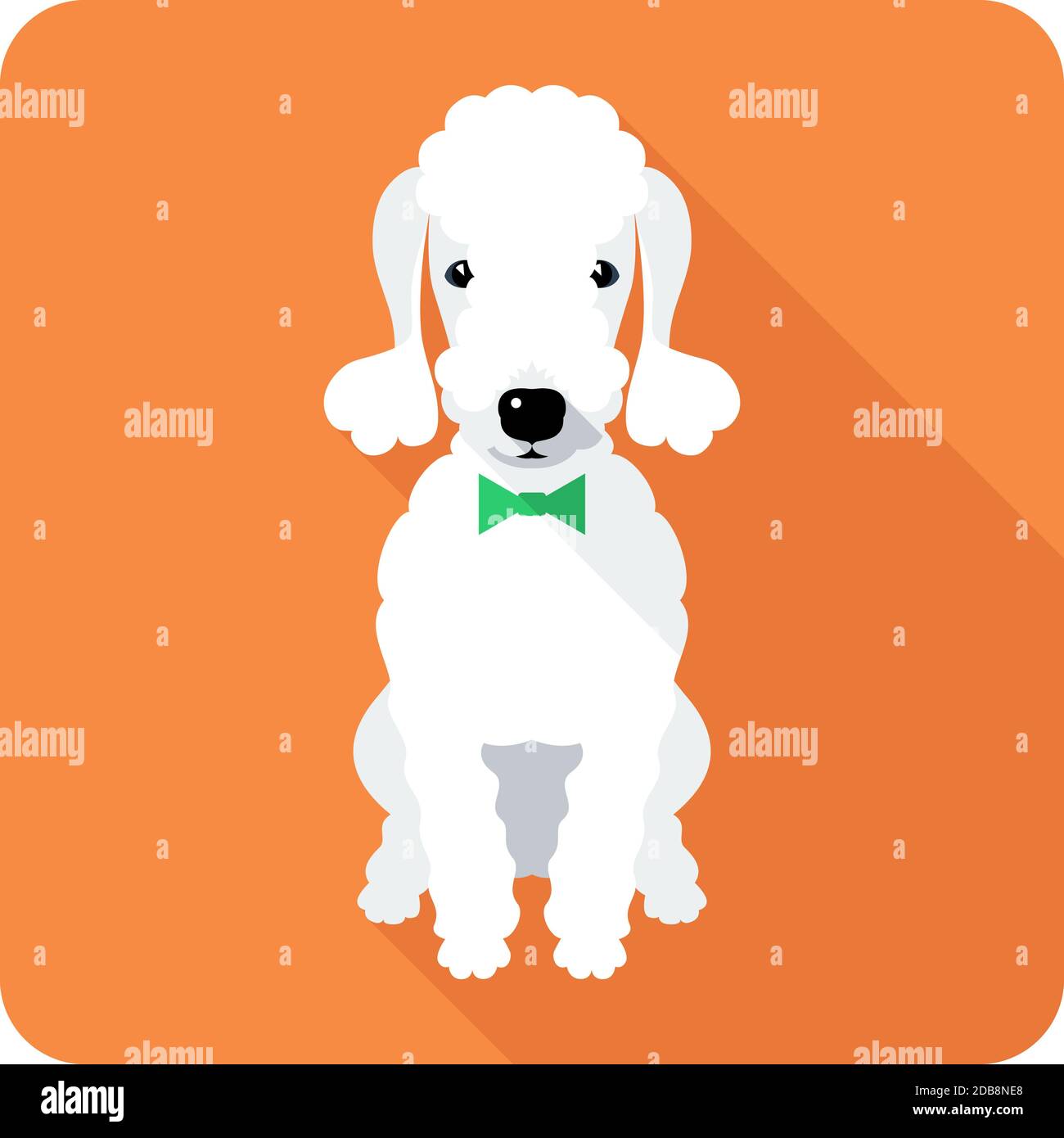 dog Bedlington Terrier sits icon flat design Stock Photo