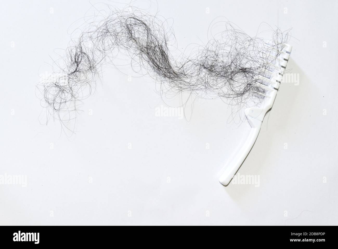 Bad combing causes hair damage Stock Photo Alamy