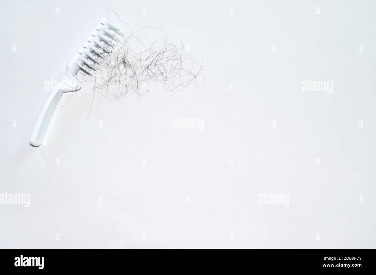 Bad combing causes hair damage Stock Photo Alamy