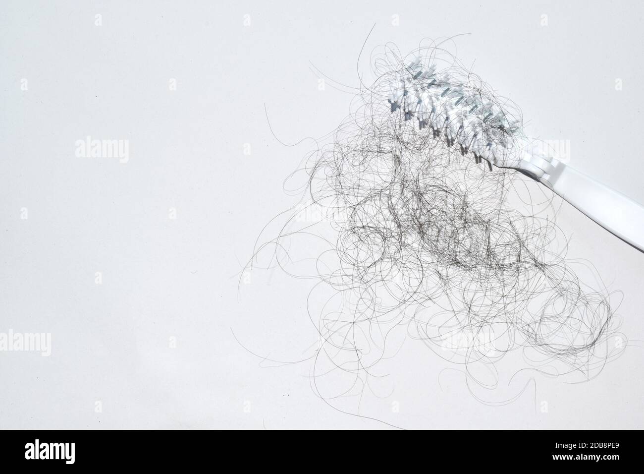 Can Comb Damage Your Hair at Brad Sedillo blog