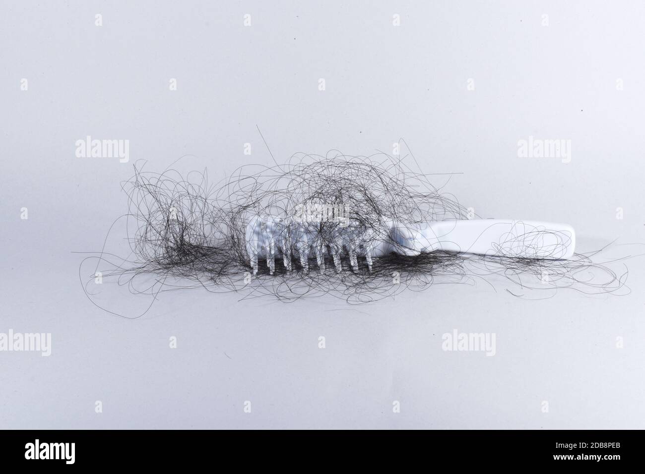 Bad combing causes hair damage Stock Photo Alamy