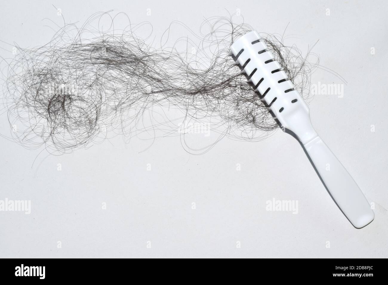 Bad combing causes hair damage Stock Photo Alamy