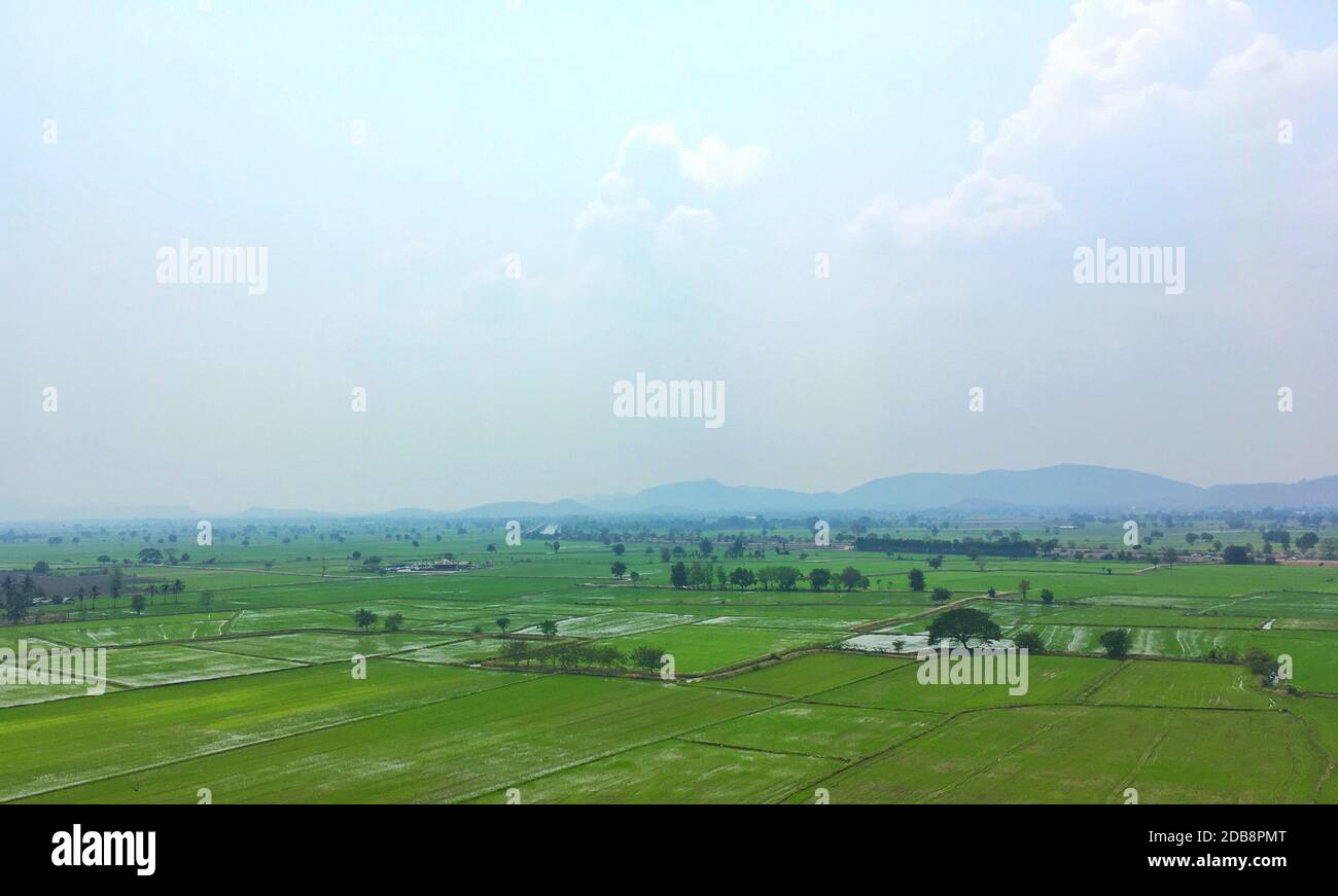 Rice fields and mountains background Stock Photo - Alamy