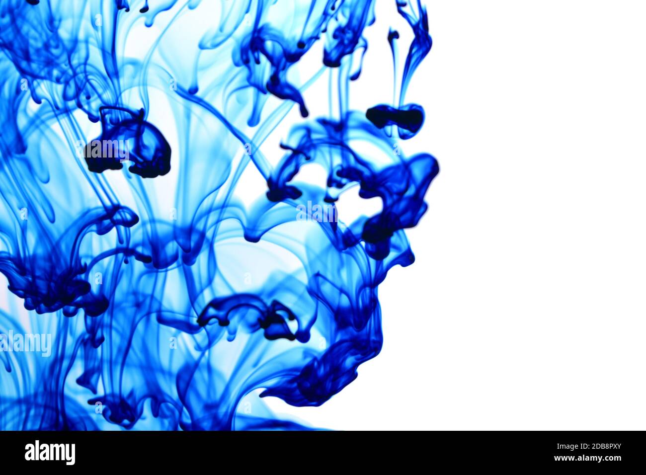 Food Coloring In Water Art