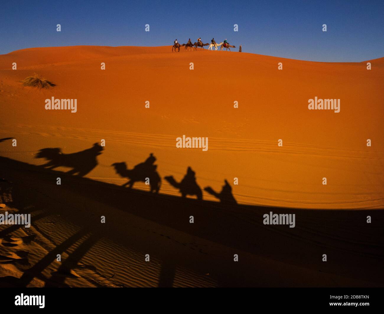 Shadow of a camel train in the Sahara Desert, Morocco Stock Photo