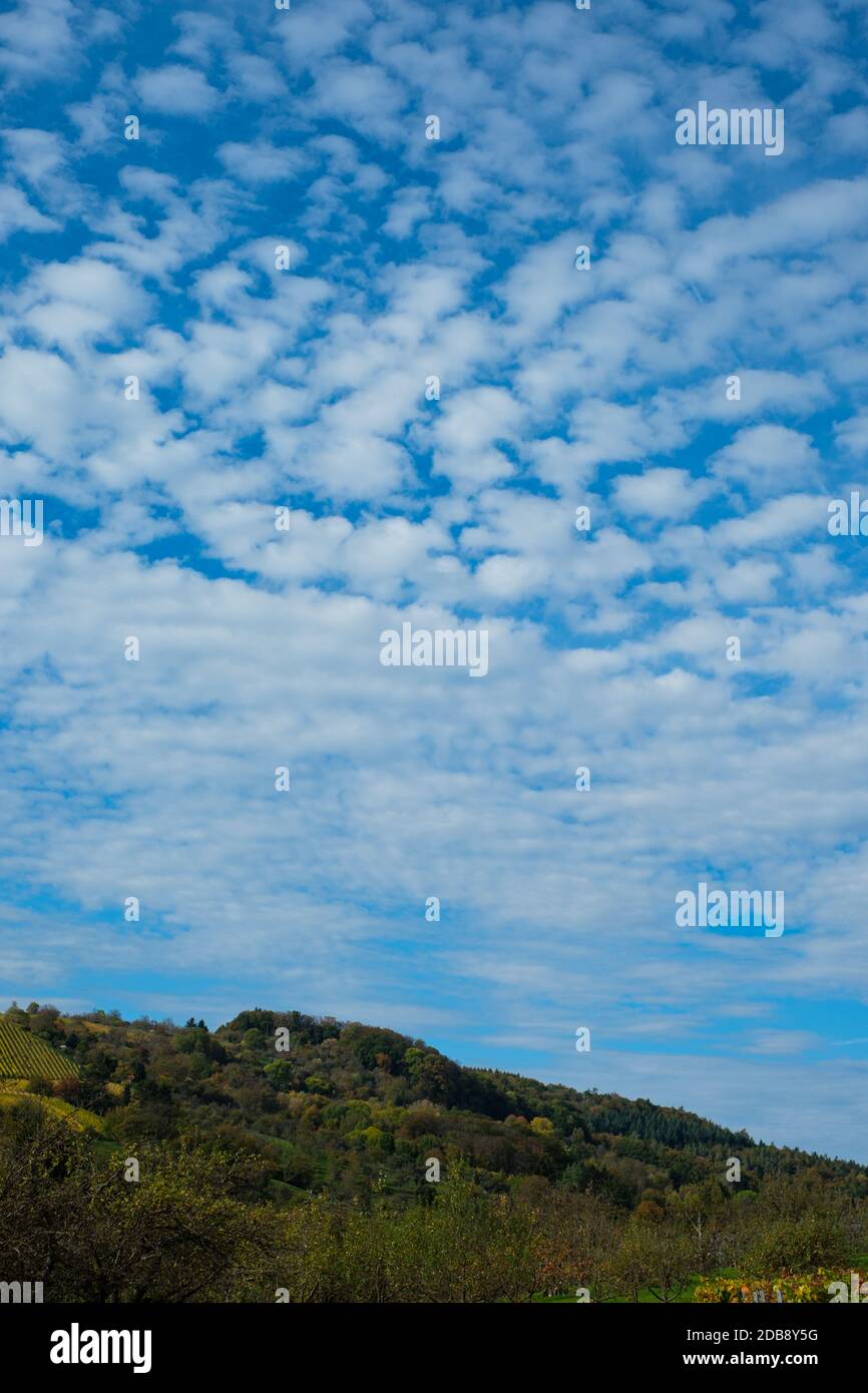 Fleecy clouds over a forest in autumn in vertical format Stock Photo
