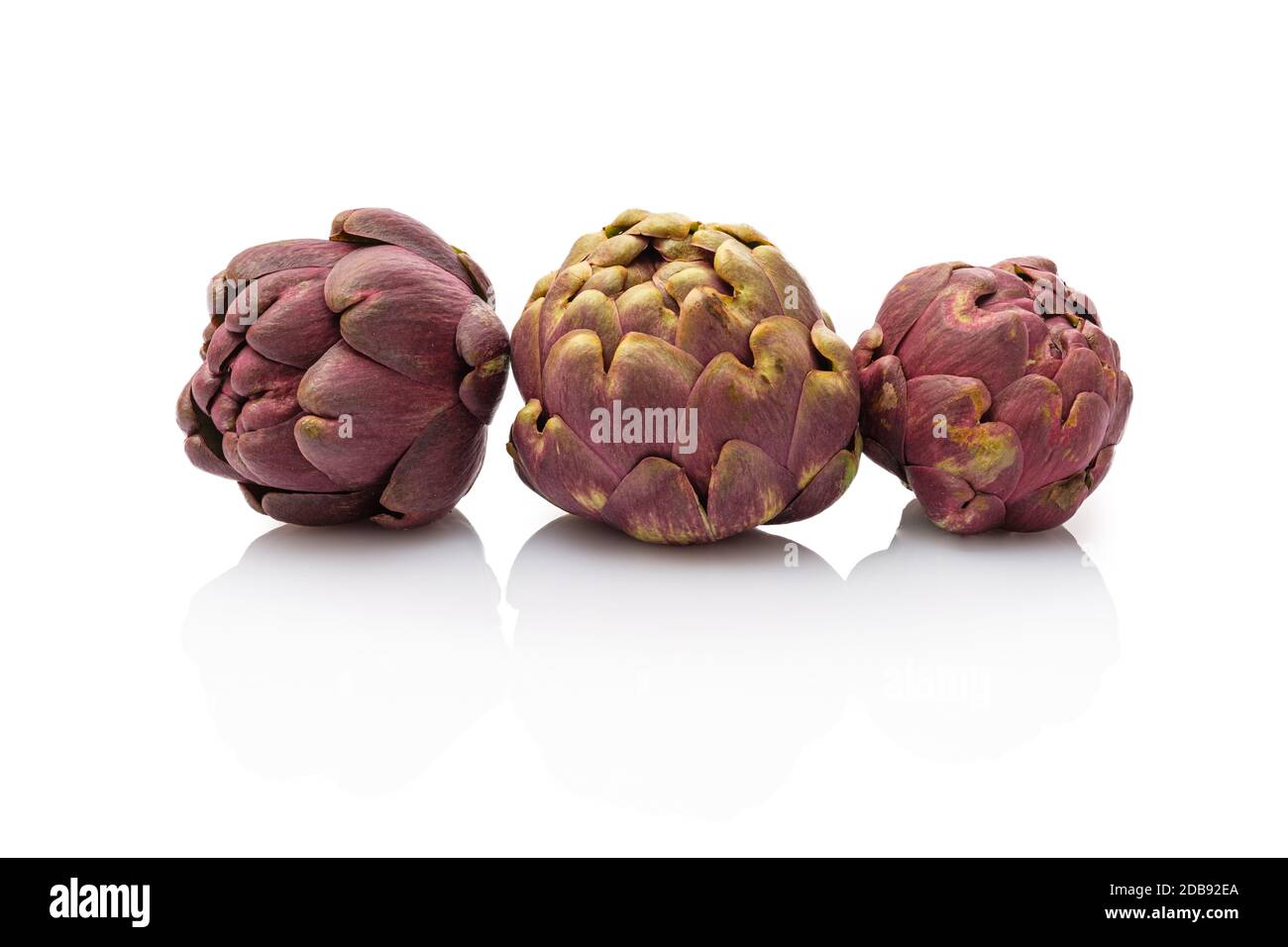 Three artichokes vegetable white isolated Stock Photo