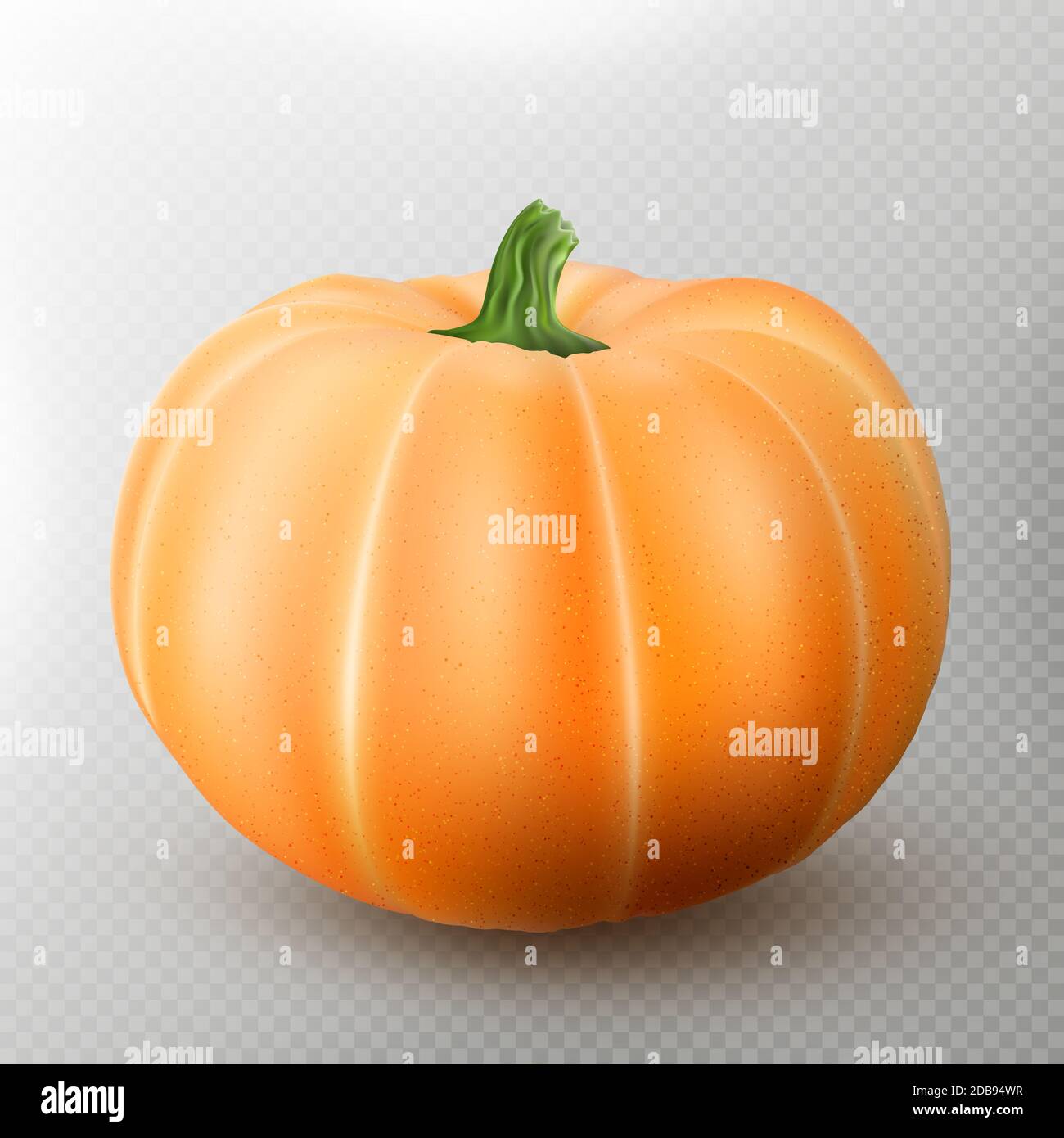 Realistic macro orange pumpkin isolated on transparent background. EPS 10 vector file included Stock Photo