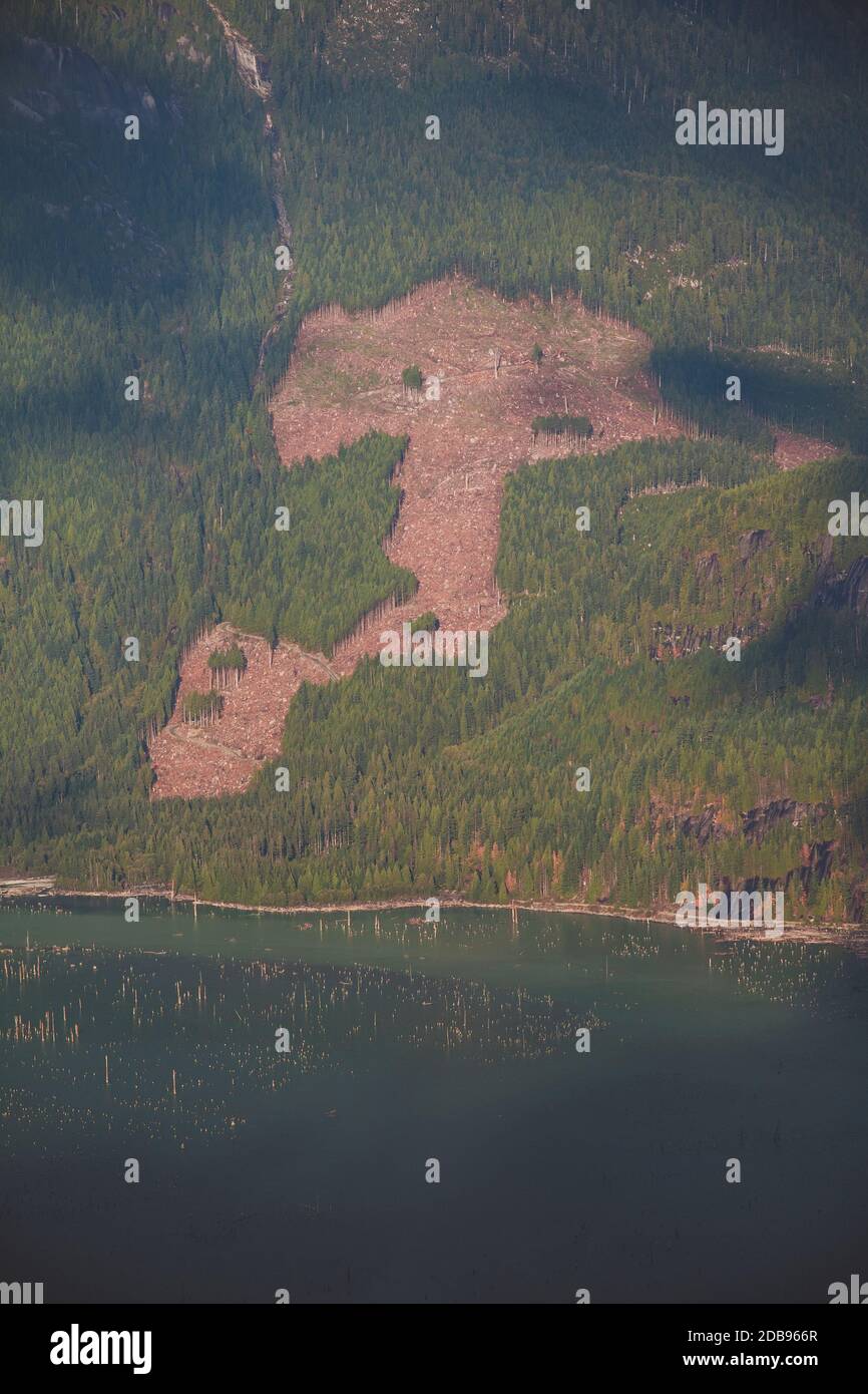 Logging Clear Cut Above Stave Lake British Columbia Canada Stock 