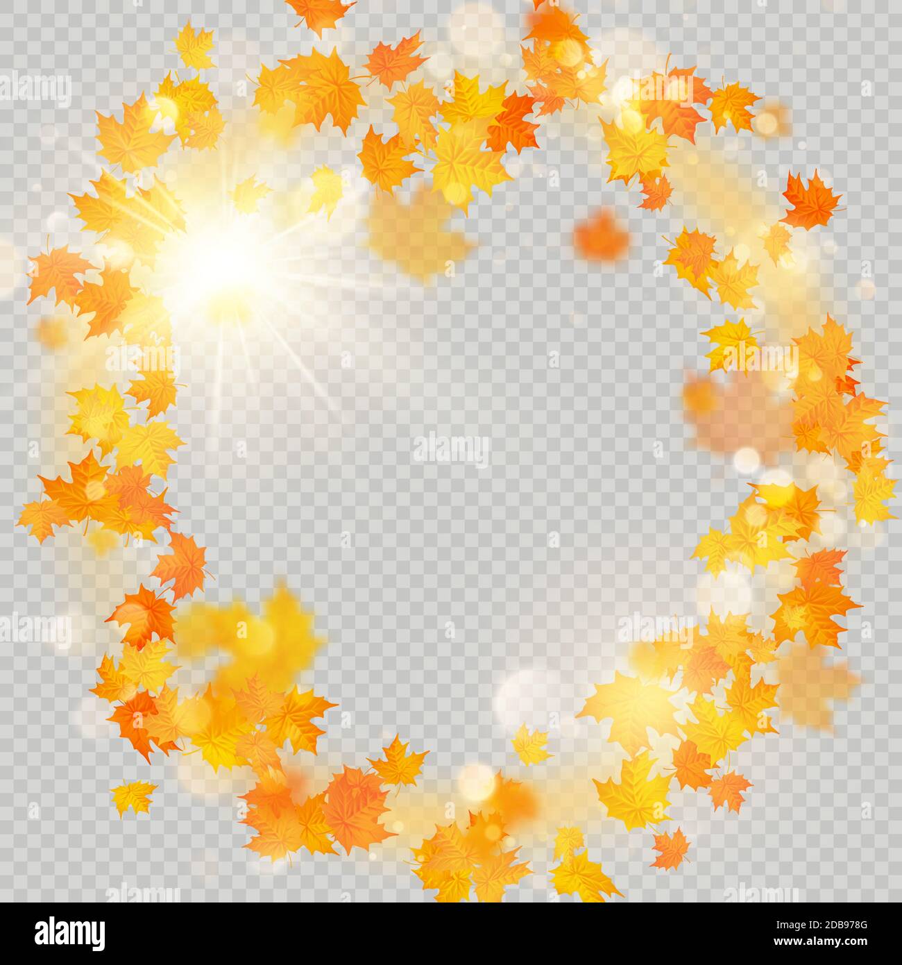 Fall maple leaves frame with delicate sun for decoration. Autumn leaves ...