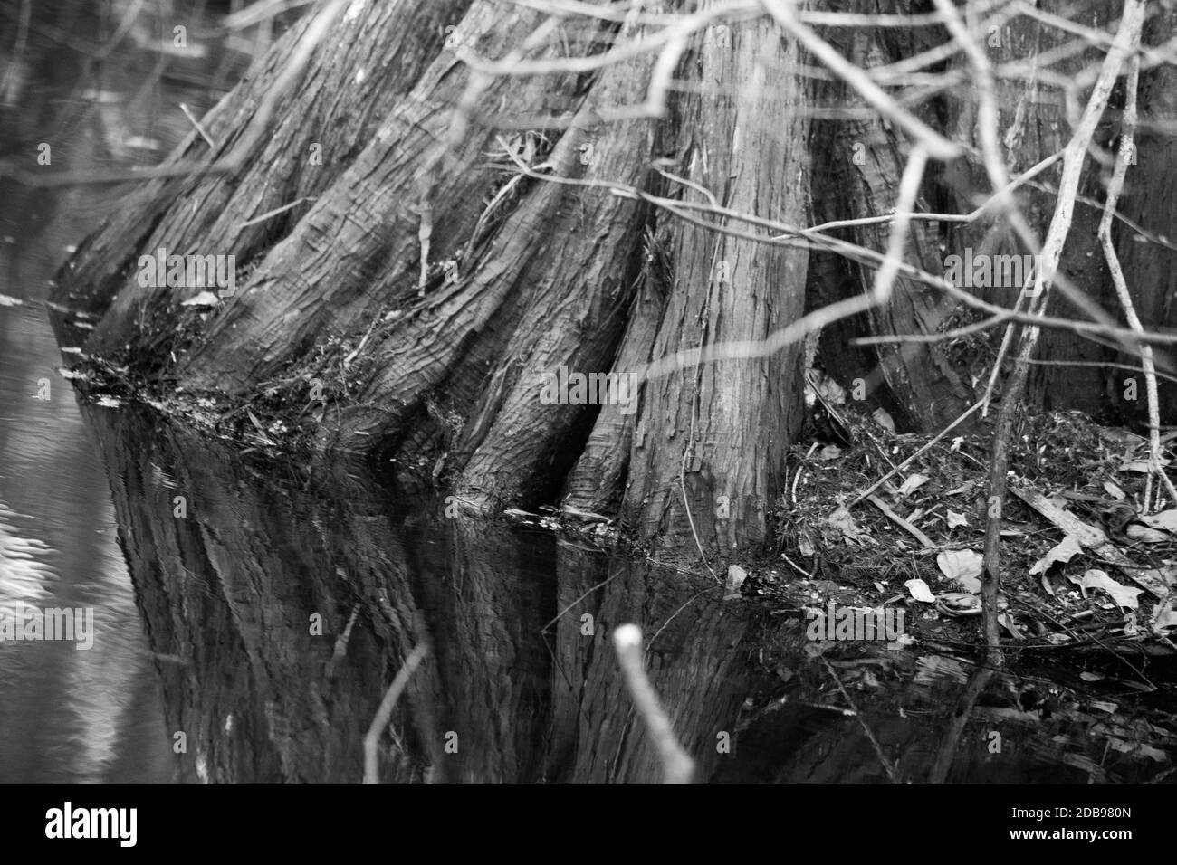 Reflections texture Black and White Stock Photos & Images - Alamy