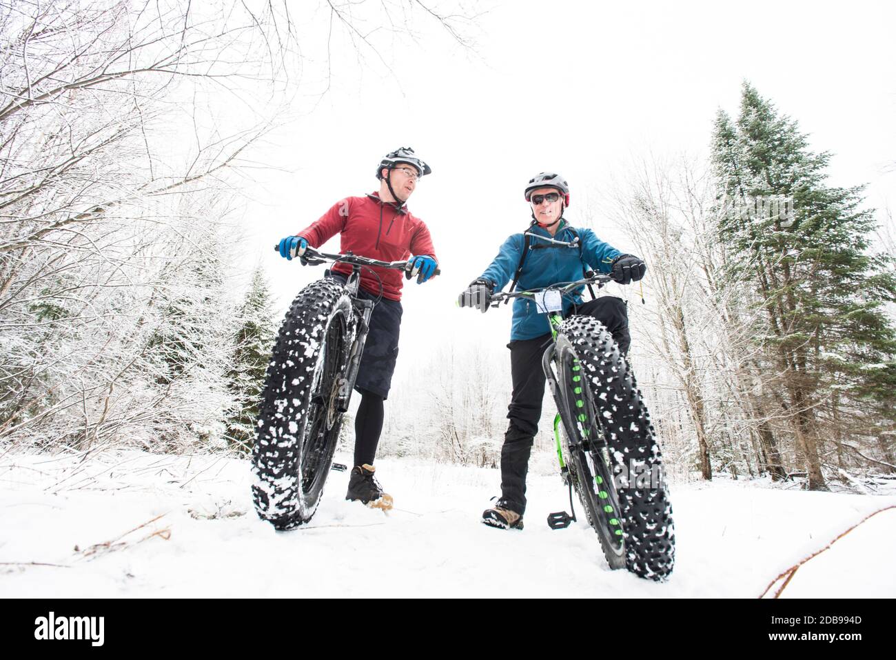 Winter fattire biking Stock Photo Alamy