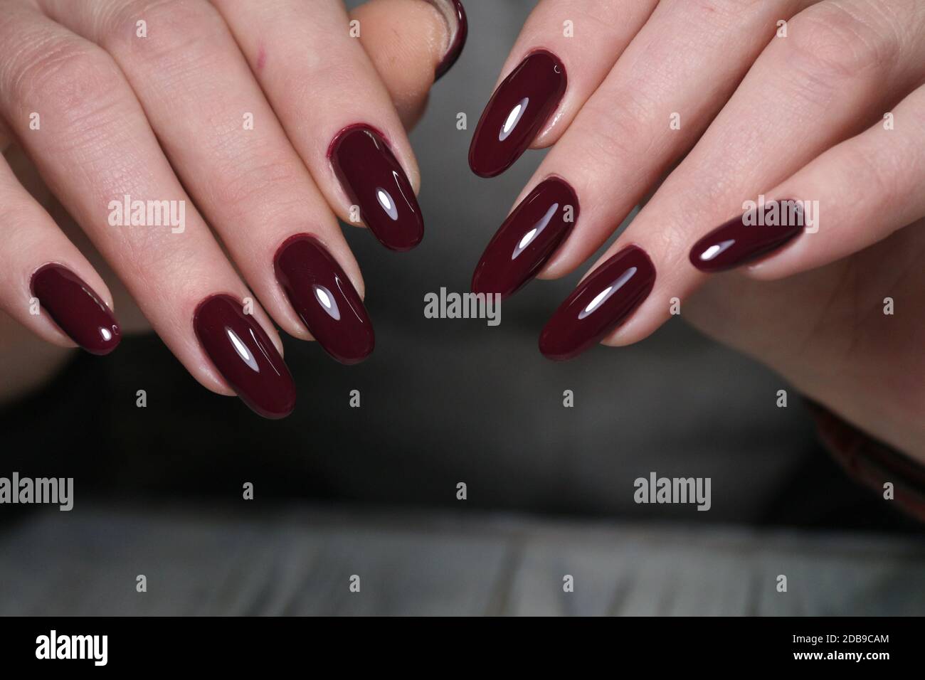 Closeup photo of a beautiful female hands with elegant manicure and ...