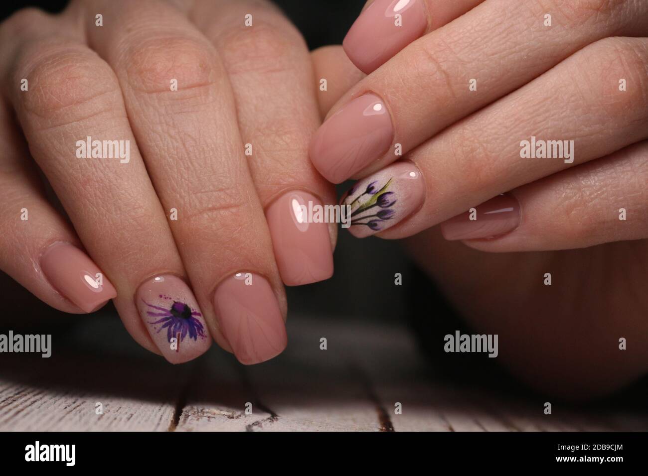 Gorgeous manicure, dark purple tender color nail polish, closeup photo.  Female hands over simple background of casual clothes Stock Photo - Alamy