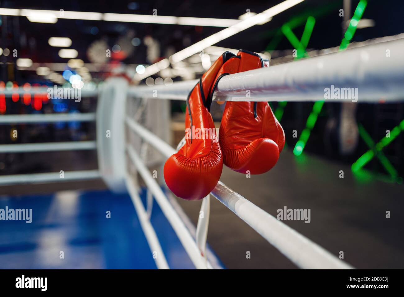 Pair of red leather boxing gloves hanging on a ropes on ring, nobody ...