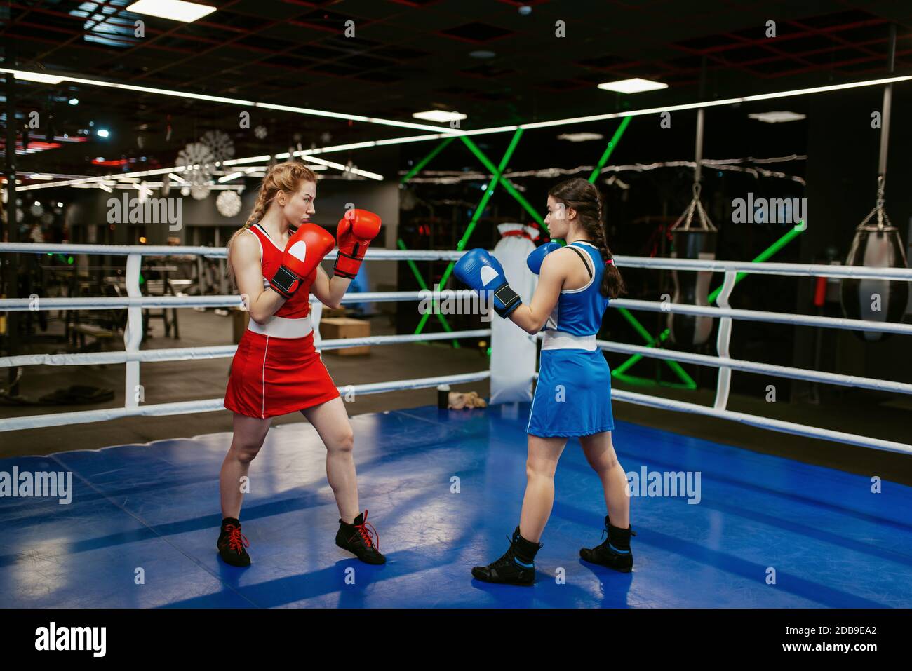 Women in gloves boxing on the ring, box workout. Female boxers in gym, kickboxing sparring