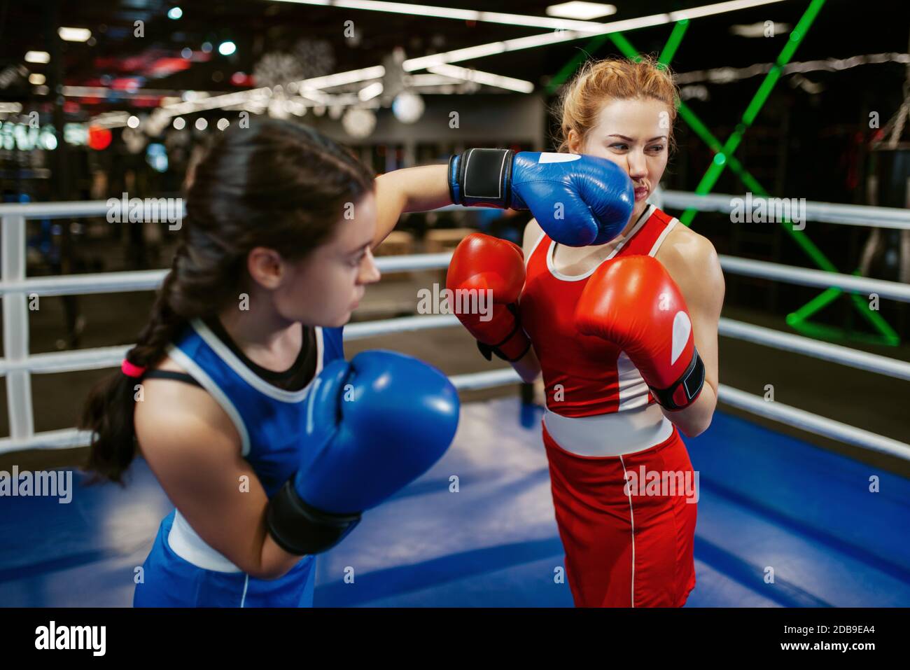 Women in gloves boxing on the ring, box workout. Female boxers in gym, kickboxing sparring