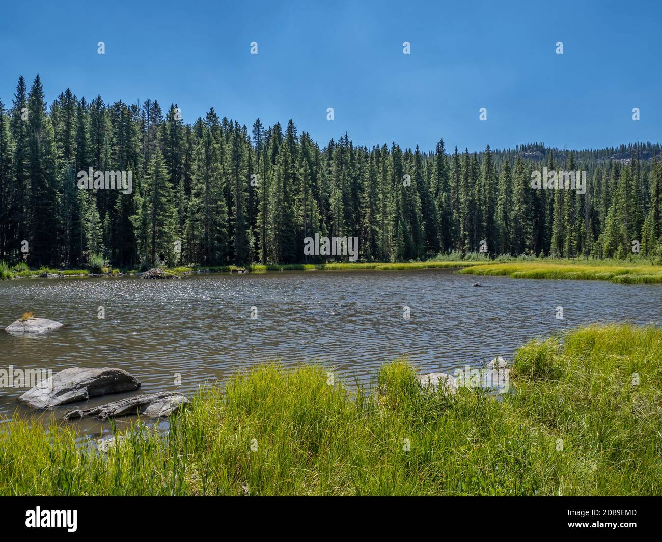 Lake of the Woods, Lake of the Woods Trail, Grand Mesa, Colorado. Stock Photo