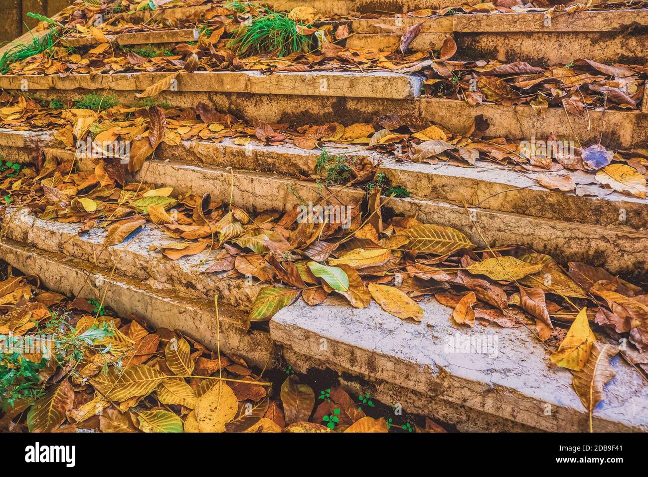 Autumn leaves at the stone stairs Stock Photo