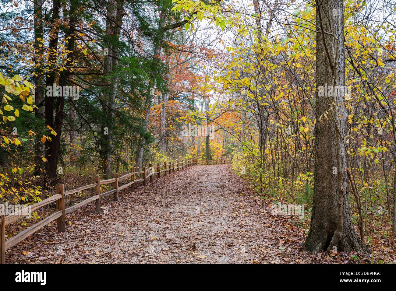 Turkey Run State Park Stock Photo Alamy