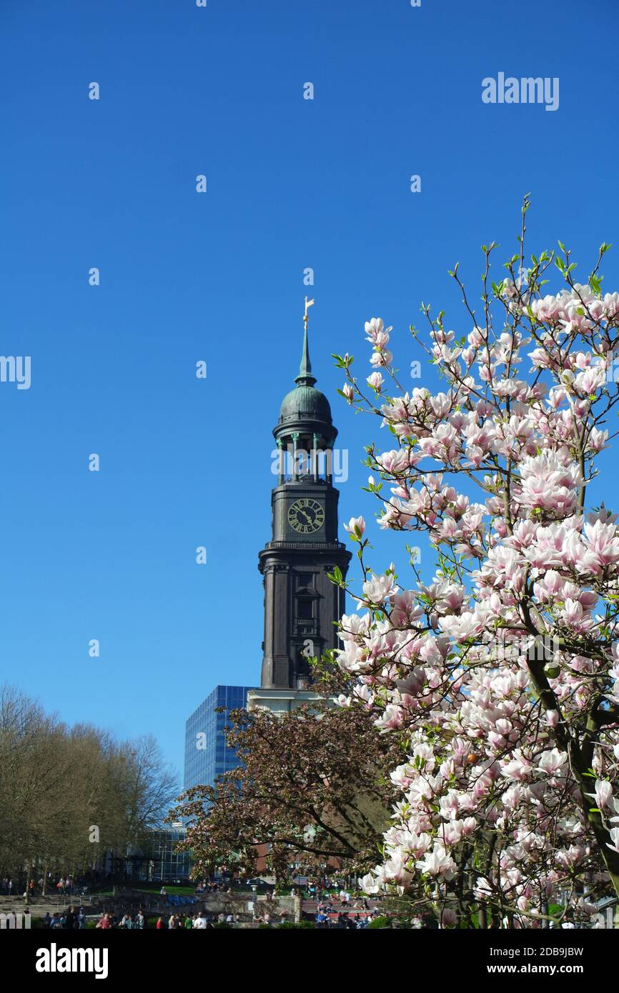 Spring in Hamburg Stock Photo