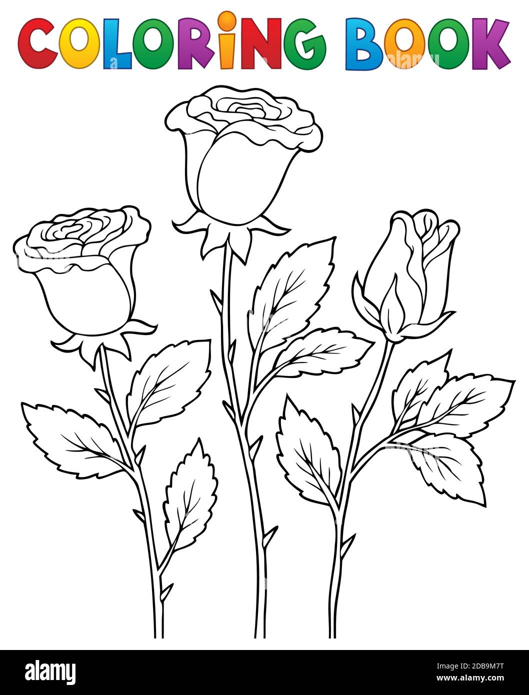 Coloring book rose flower image 1 picture illustration Stock Photo