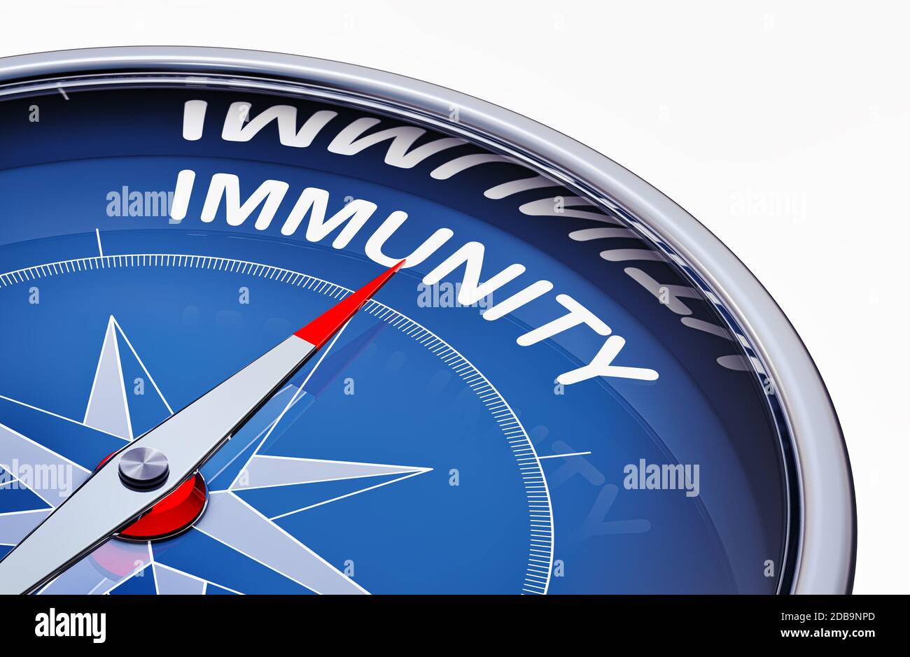 3D rendering of an compass with the word immunity Stock Photo