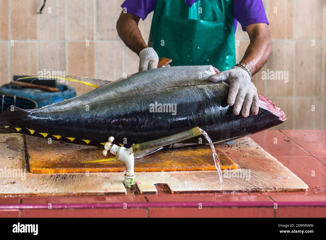 Male worker at the fish market in Male, Maldives, cutting a big tuna