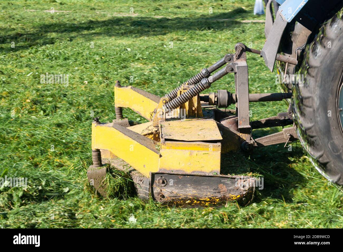 close up of tractor mows grass on lawn in city yard Stock Photo