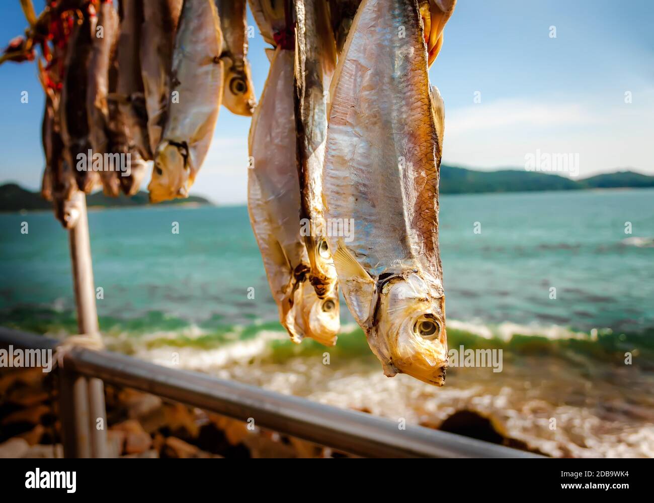 Dried Cured Fish under Hot Sun at Fishing Village in Peng Chau Island in Hong Kong Stock Photo
