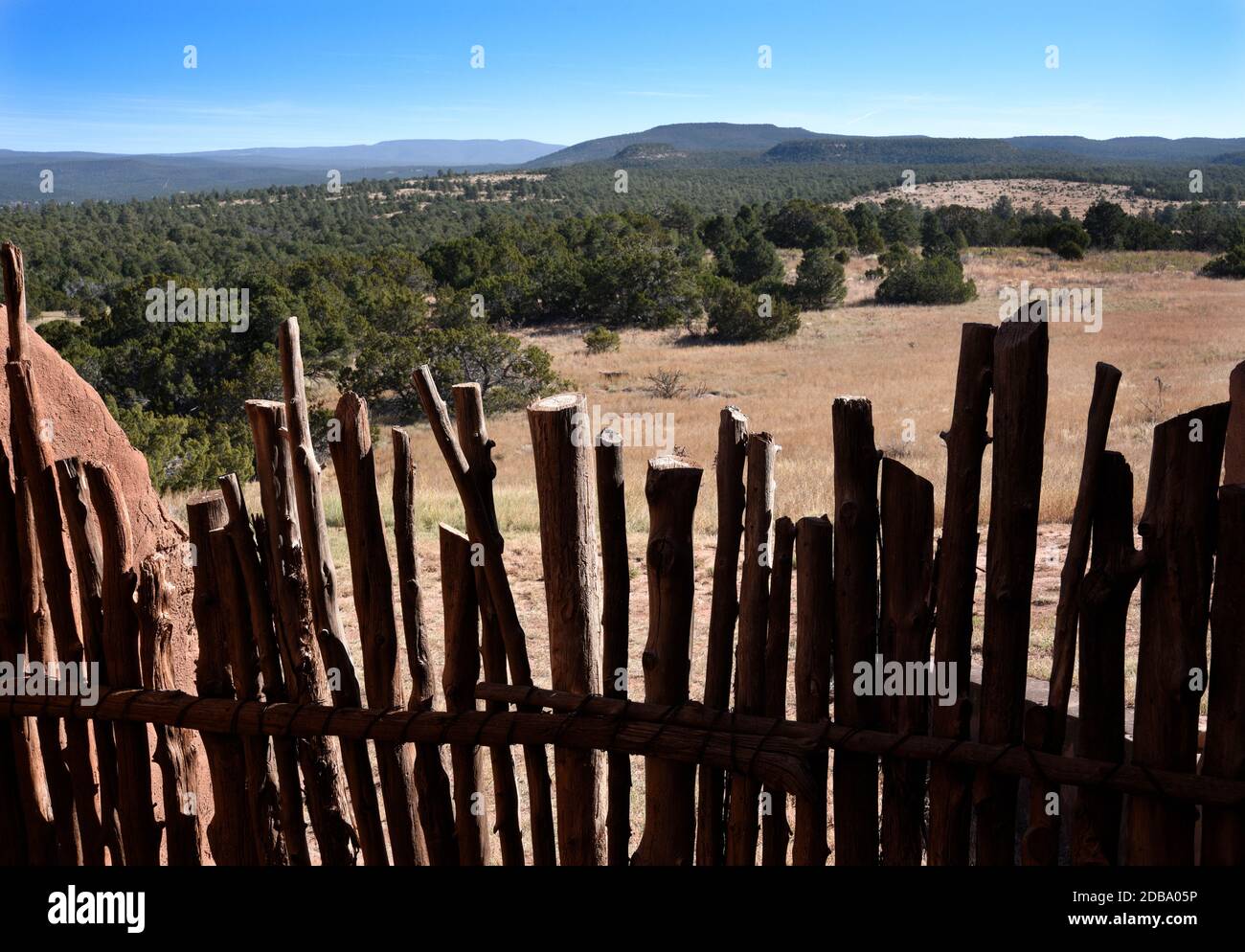 A rustic &ldquo;coyote&rdquo; fence made from small tree trunks and branches at