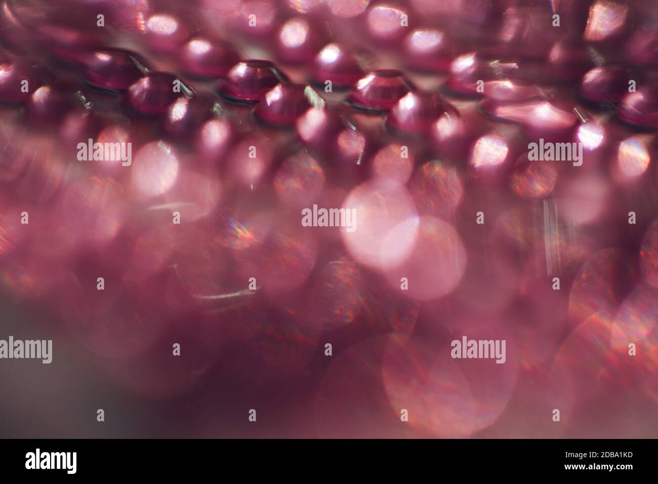 Pink light leaks Stock Photo
