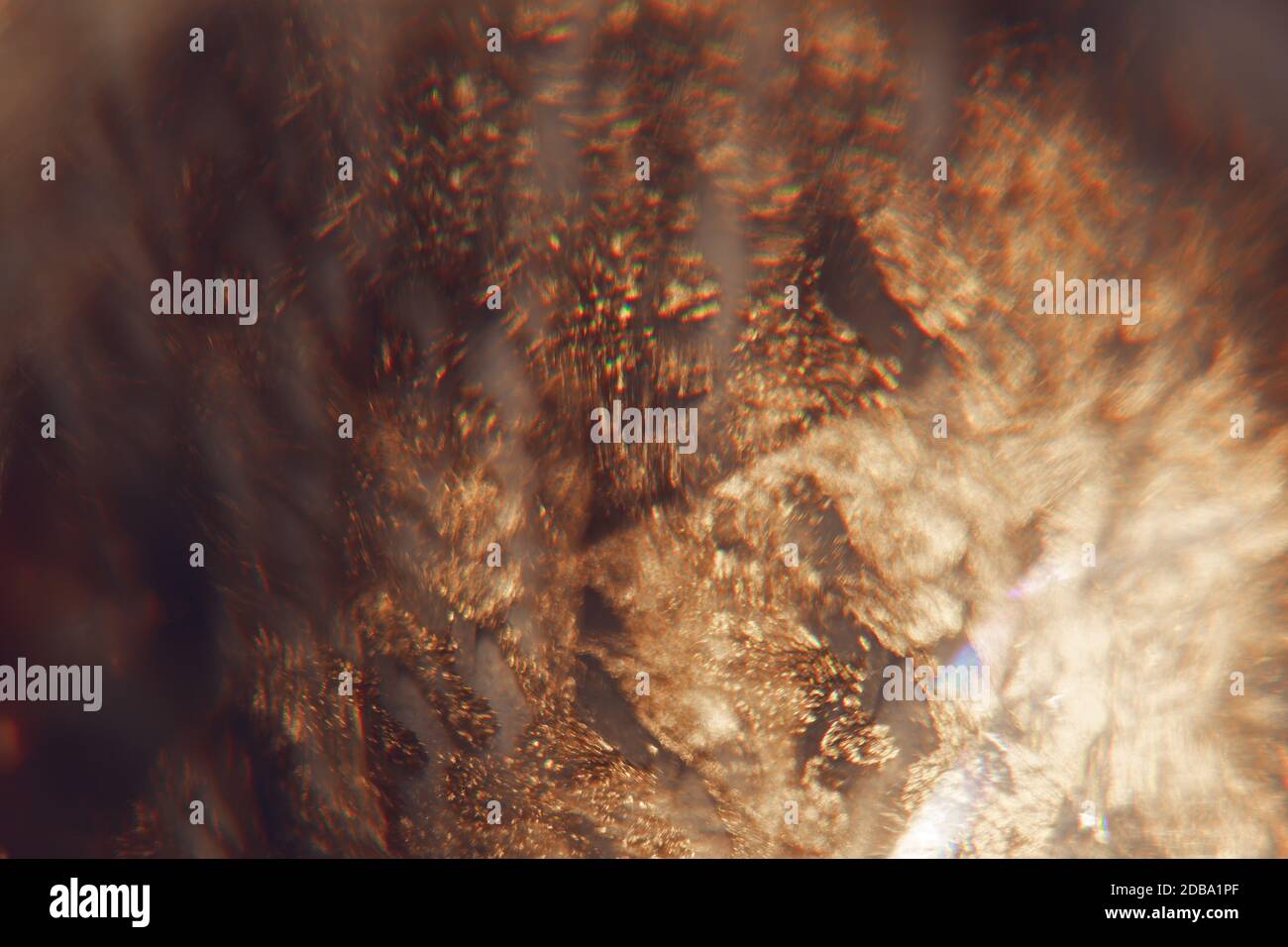 Gold light leaks Stock Photo