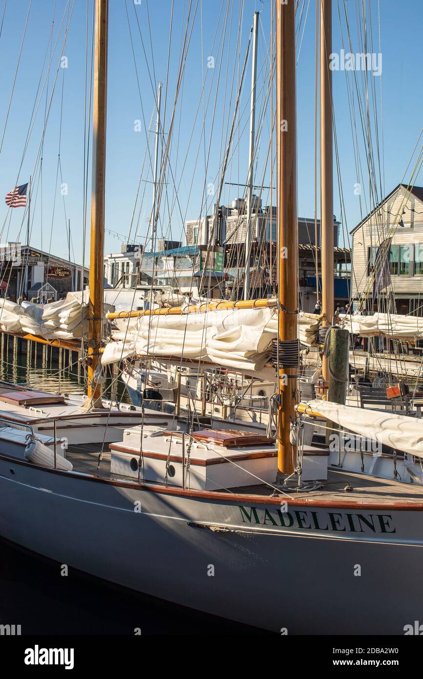 Yachts are everywhere here. Boating is a passion right here in downtown