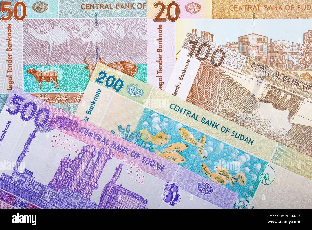 Sudanese money a business background Stock Photo