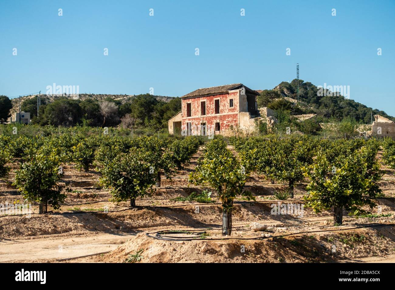 Old derelict house in Spain amidst fields and orange groves Stock Photo Alamy
