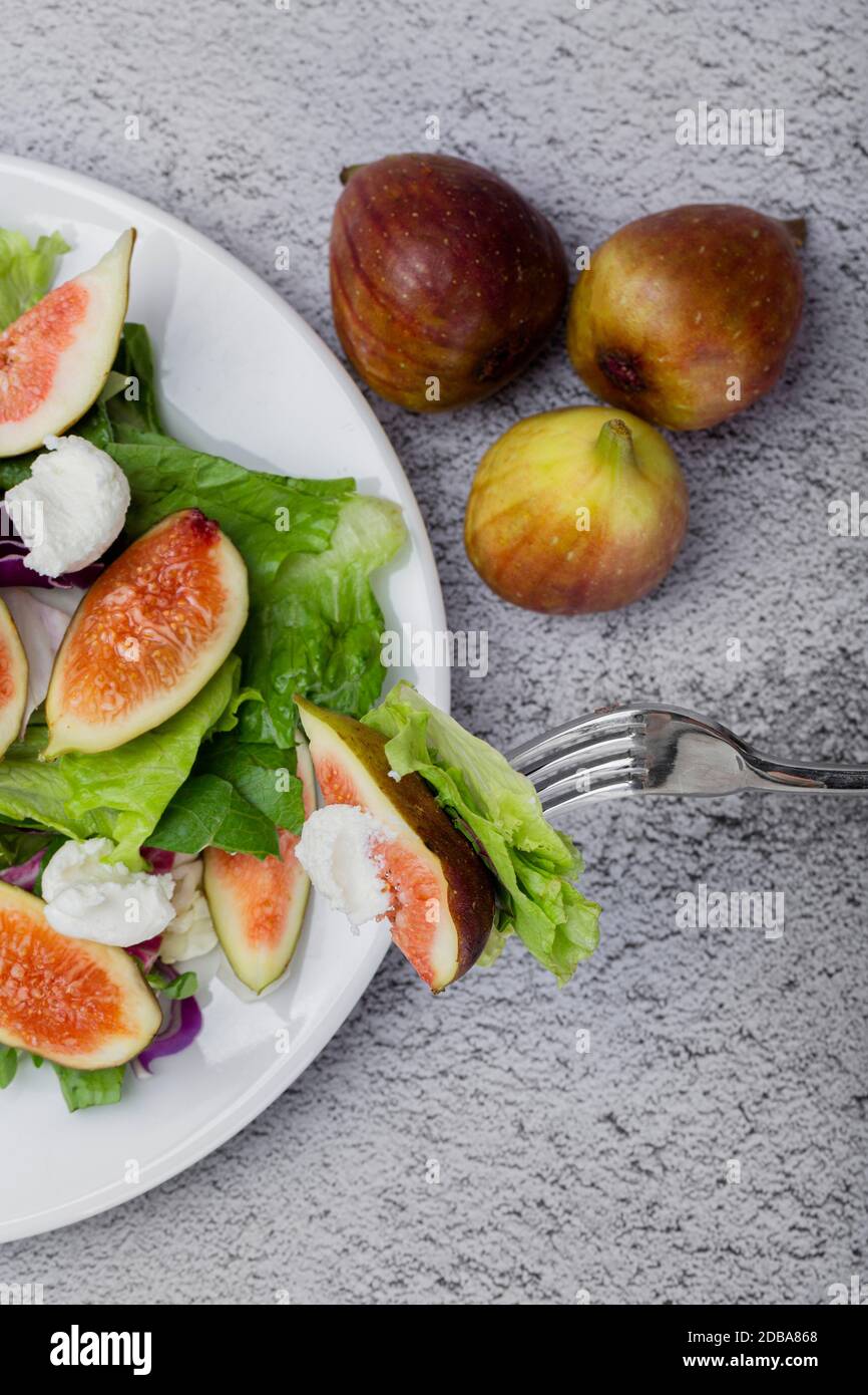 Fig 124 High Resolution Stock Photography And Images Alamy